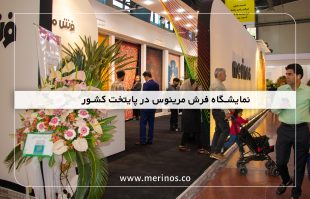 نمایشگاه فرش مرینوس در پایتخت کشور 2